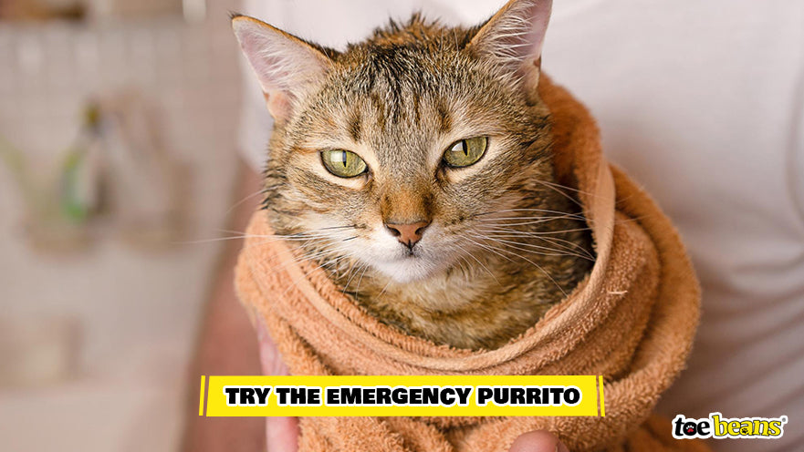 The Emergency Purrito Technique Image by Toe Beans