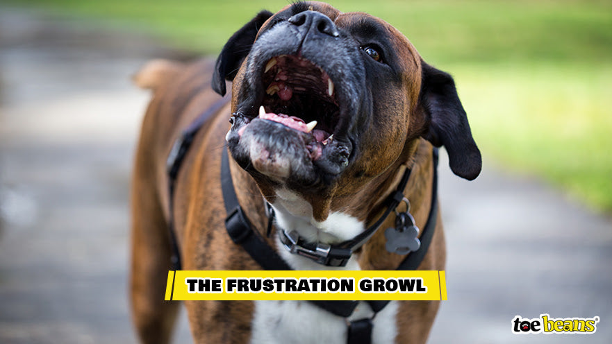 The Frustration Growl Image by Toe Beans