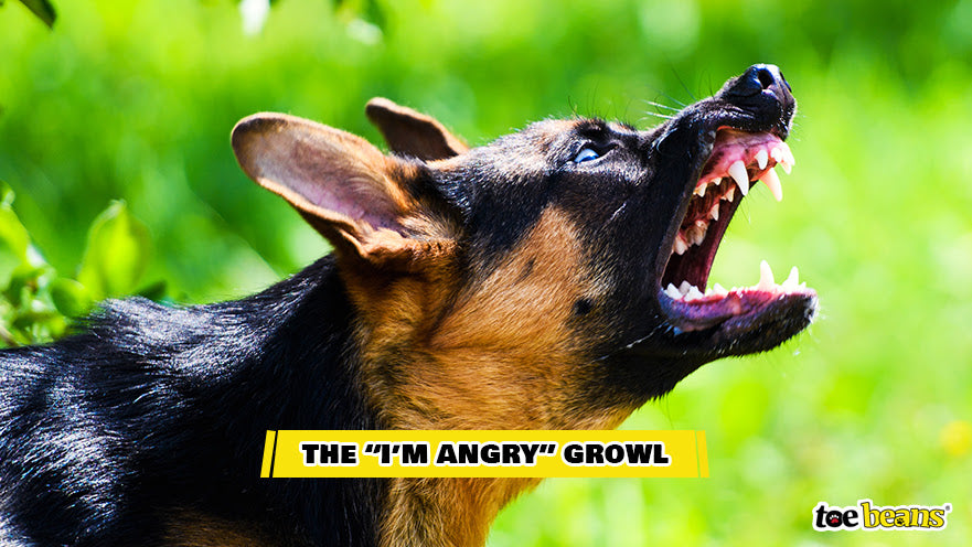 The I'm Angry Growl Image by Toe Beans