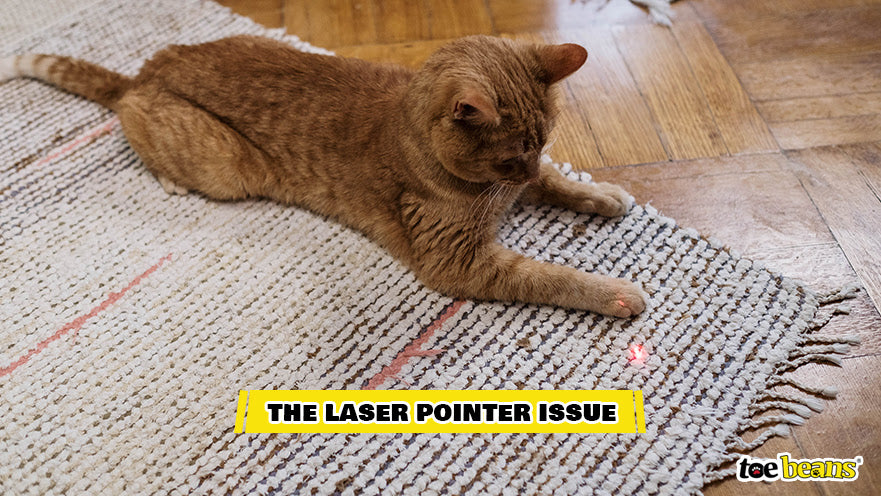 The Laser Pointer Issue Image by Toe Beans