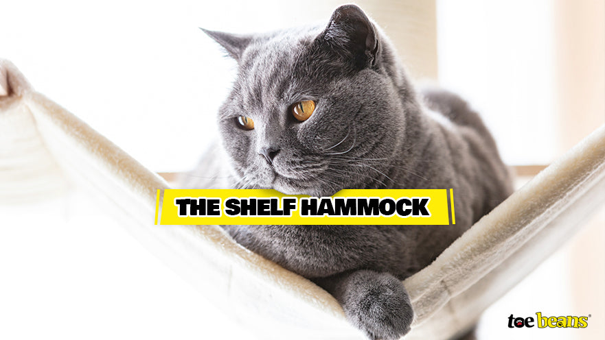 The Shelf Hammock