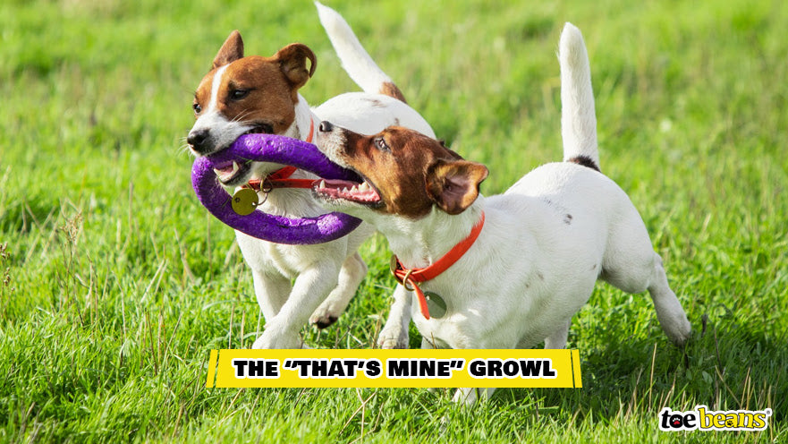 The That's Mine Growl Image by Toe Beans