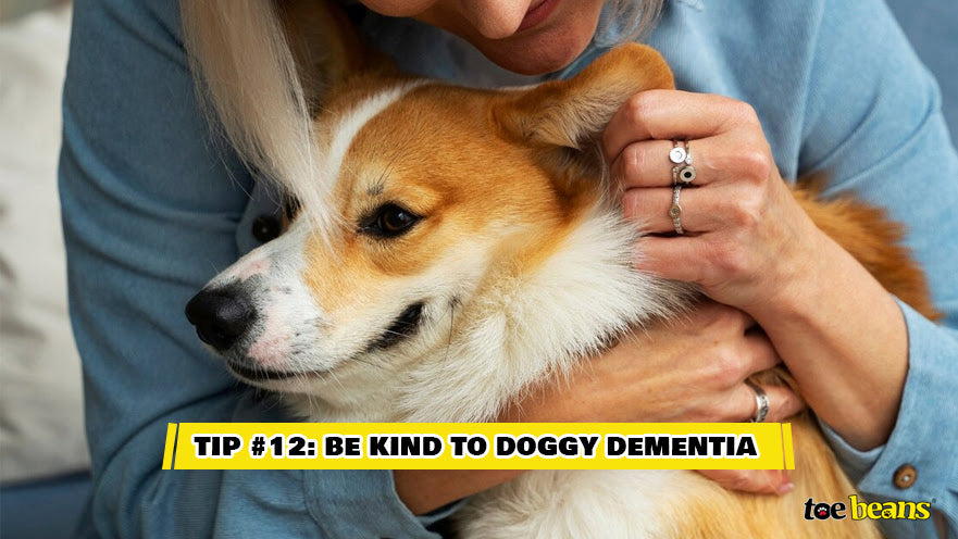Tip 12 Be Kind To Doggy Dementia Image by Toe Beans