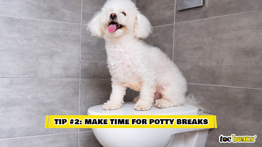 Tip 2 Make Time For Potty Breaks Image by Toe Beans