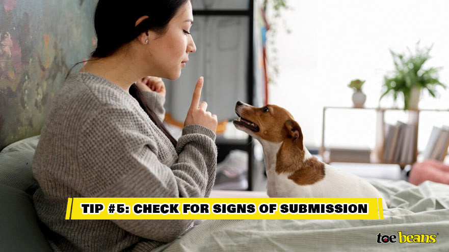 Tip 5 Check For Signs Of Submission Image by Toe Beans