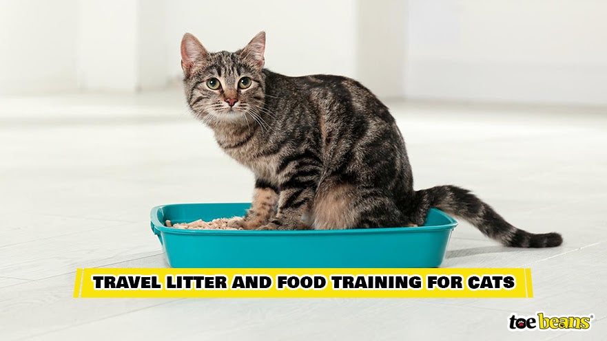 Travel Litter Training Image by Toe Beans