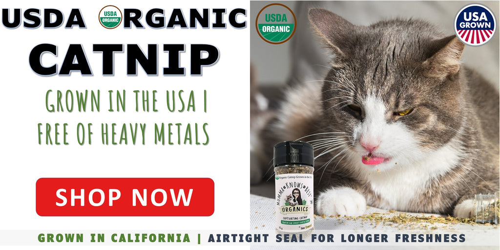 USDA organic catnip USA grown by Momma Knows Best