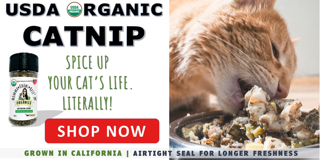 USDA organic catnip for picky eaters by Momma Knows Best_2.1