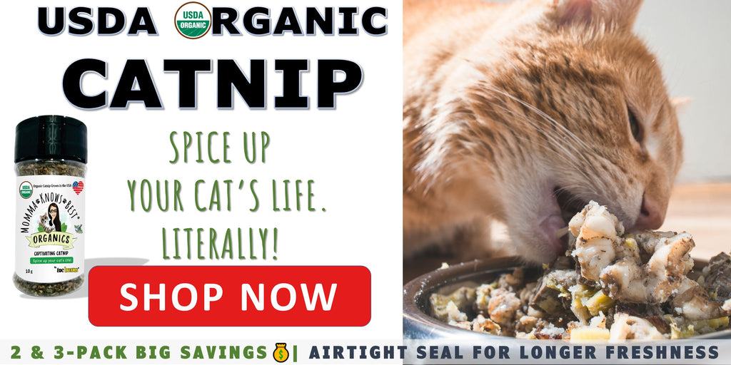 USDA organic catnip for picky eaters by Momma Knows Best_2