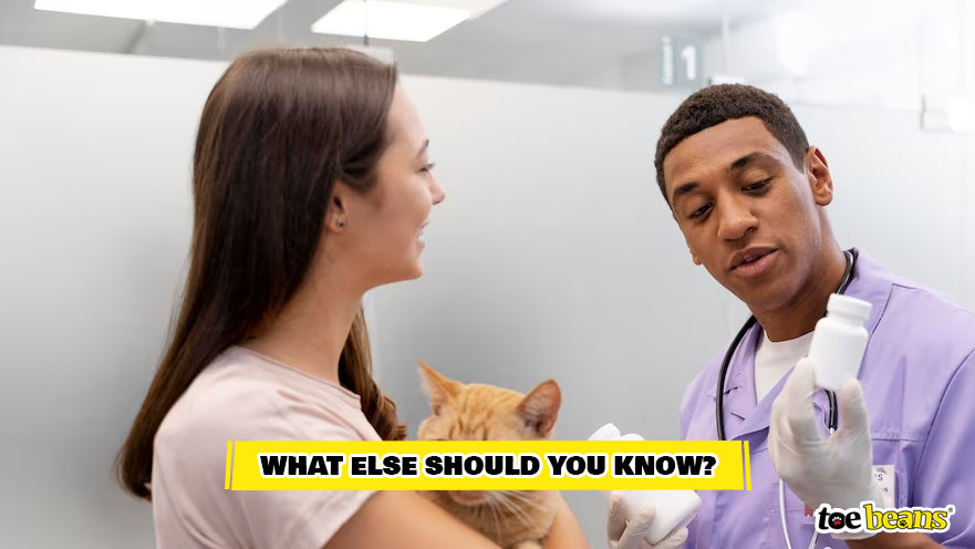 Vet Discussing Heartworm Preventative Medication Image by Toe Beans