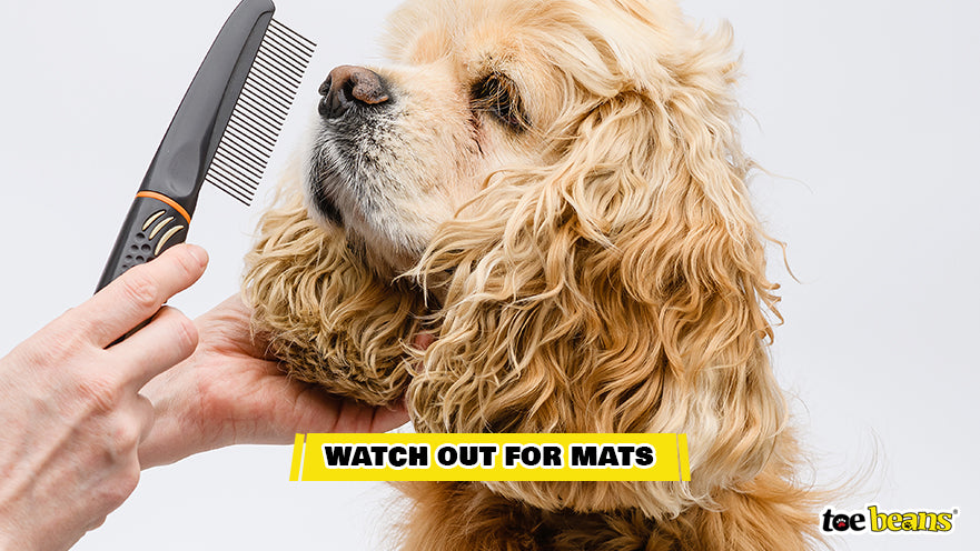 Watching Out for Mats Image by Toe Beans
