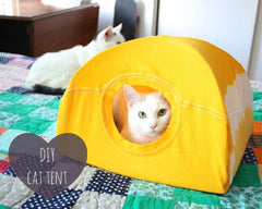 White cat posing in tent made from t-shirt